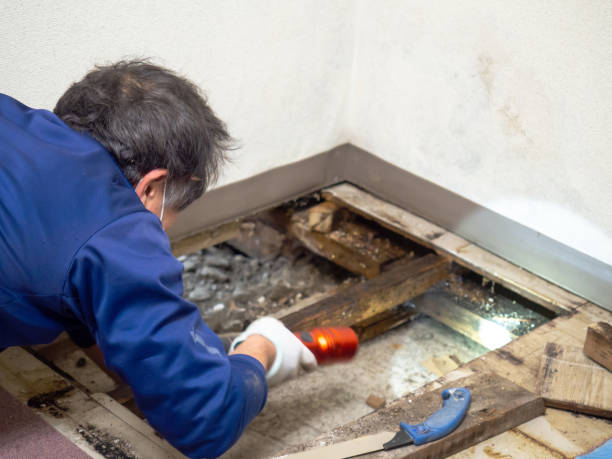 Best Crawl Space Mold Removal  in Hilmar Irwin, CA
