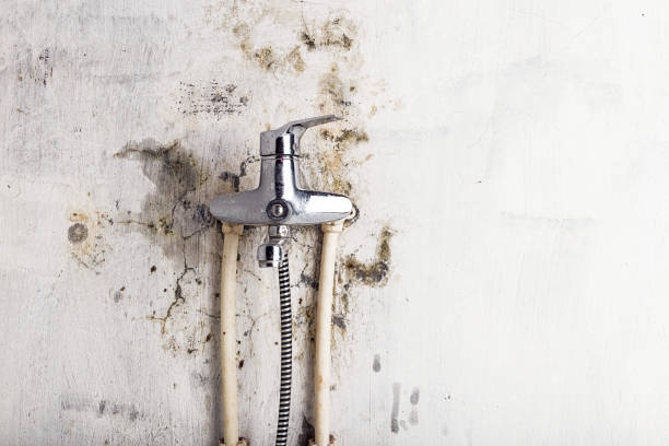 Best Mold Testing  in Hilmar Irwin, CA