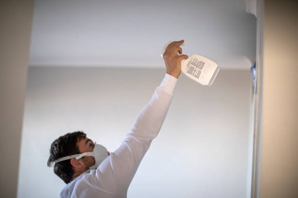Best Local Mold Removal Service  in Hilmar Irwin, CA