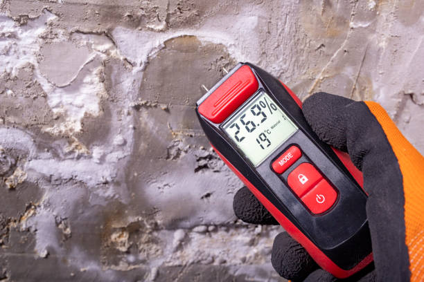 Best Office Mold Removal Services  in Hilmar Irwin, CA