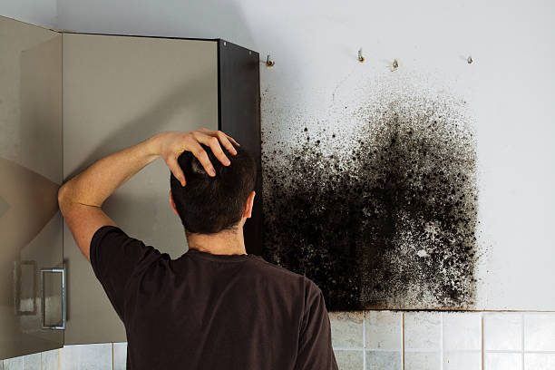 Best Toxic Mold Removal  in Hilmar Irwin, CA